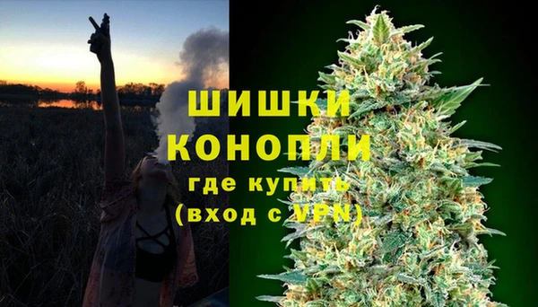 a pvp Аркадак
