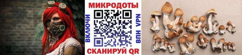 Псилоцибиновые грибы Magic Shrooms  продажа наркотиков  Гвардейск 